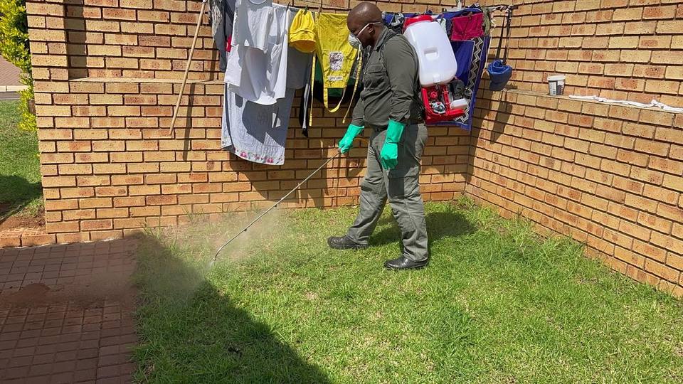 Fresh Lavation pest control lawn treatment